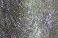 Hanley William fibreglass roof work